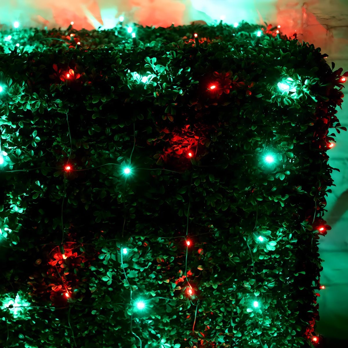 Shop For 4' x 6' Red and Green 5mm LED Christmas Net Lights