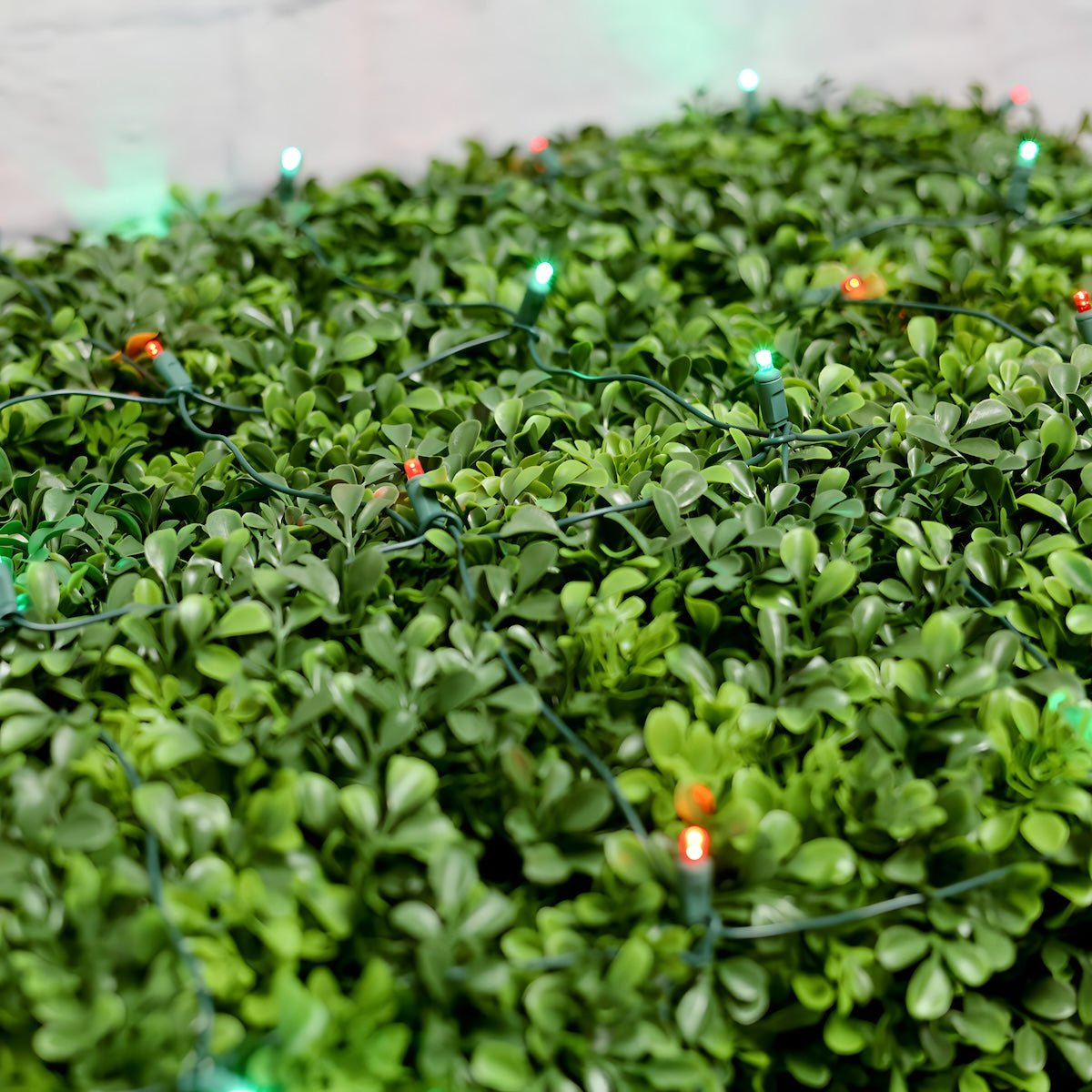 Shop For 4' x 6' Red and Green 5mm LED Smooth Fade DreamSpark Net Lights