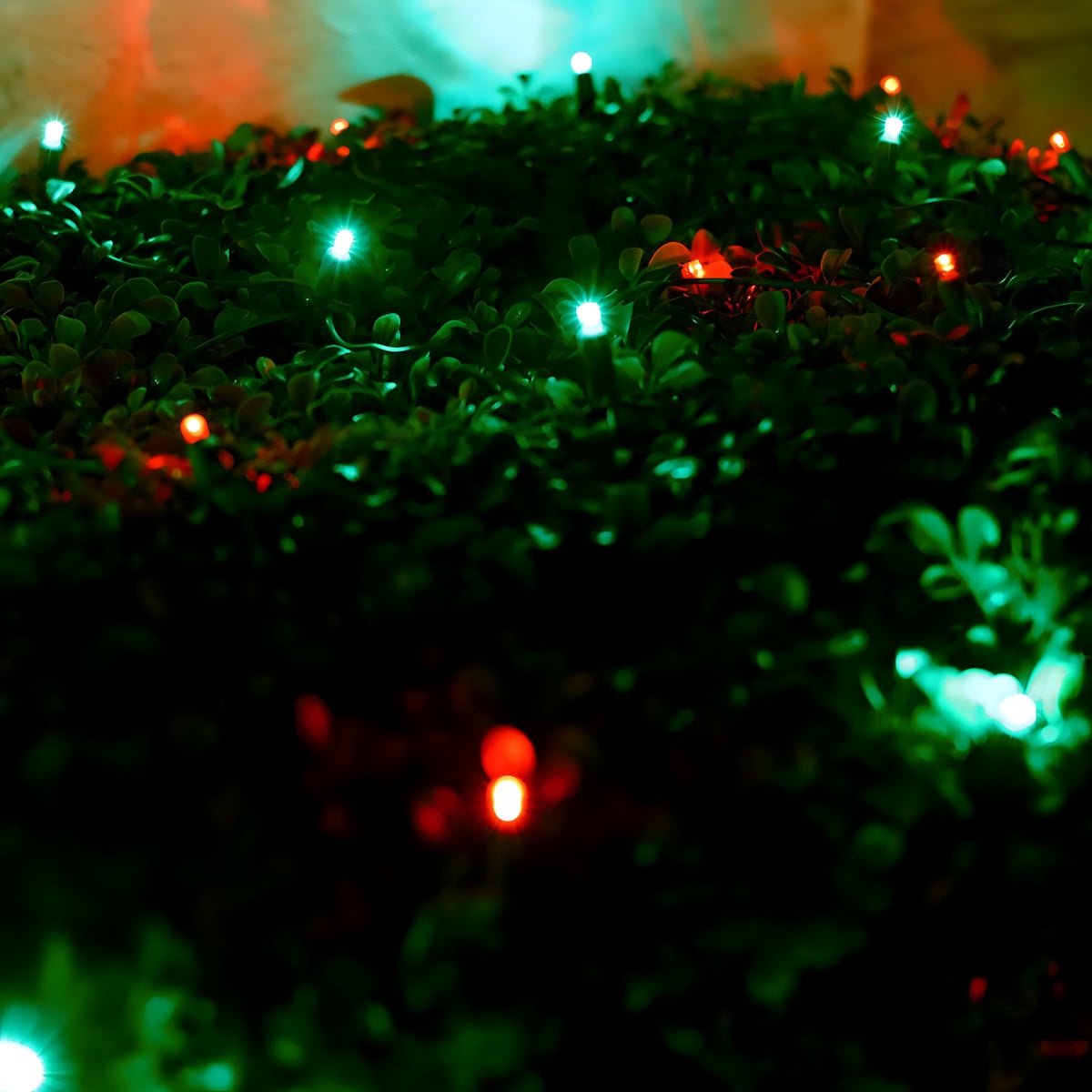 Shop For 4' x 6' Red and Green 5mm LED Smooth Fade DreamSpark Net Lights