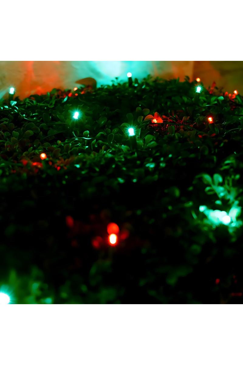 Shop For 4' x 6' Red and Green 5mm LED Smooth Fade DreamSpark Net Lights