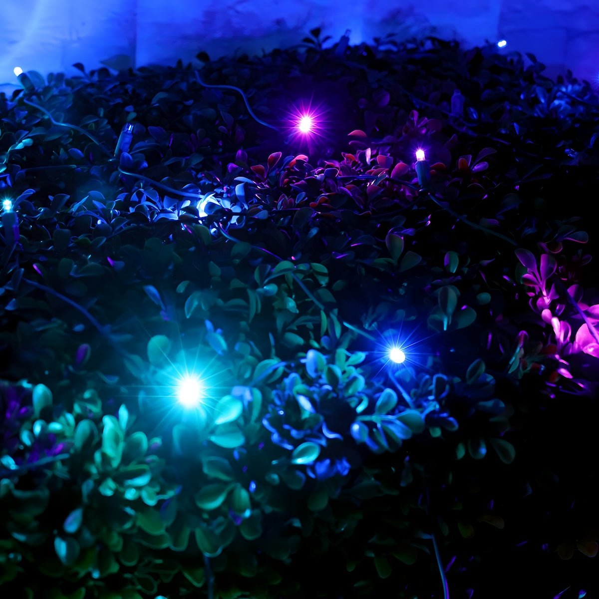Shop For 4' x 6' Stardust 5mm LED Smooth Fade DreamSpark Net Lights