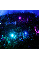 Shop For 4' x 6' Stardust 5mm LED Smooth Fade DreamSpark Net Lights