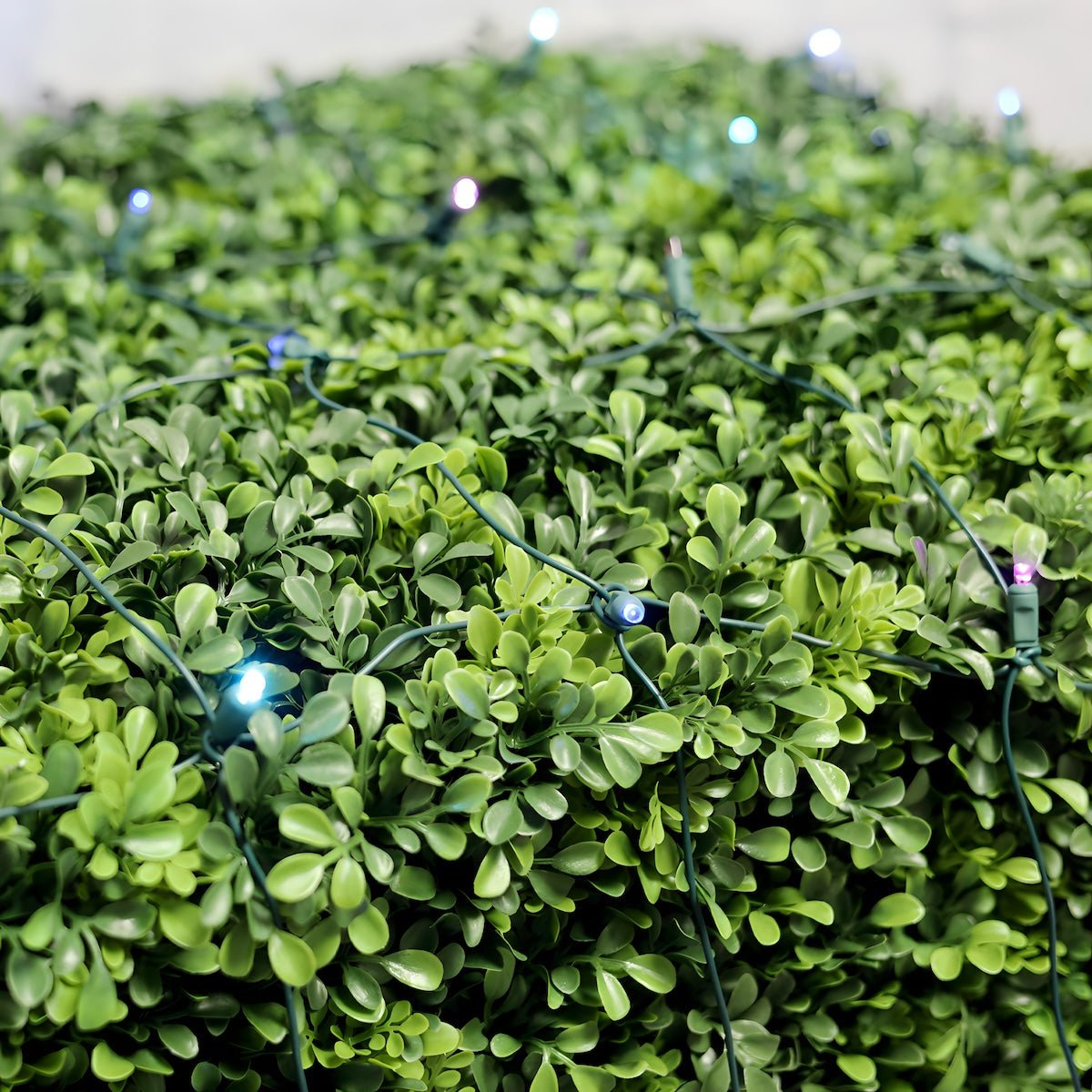 Shop For 4' x 6' Stardust 5mm LED Smooth Fade DreamSpark Net Lights