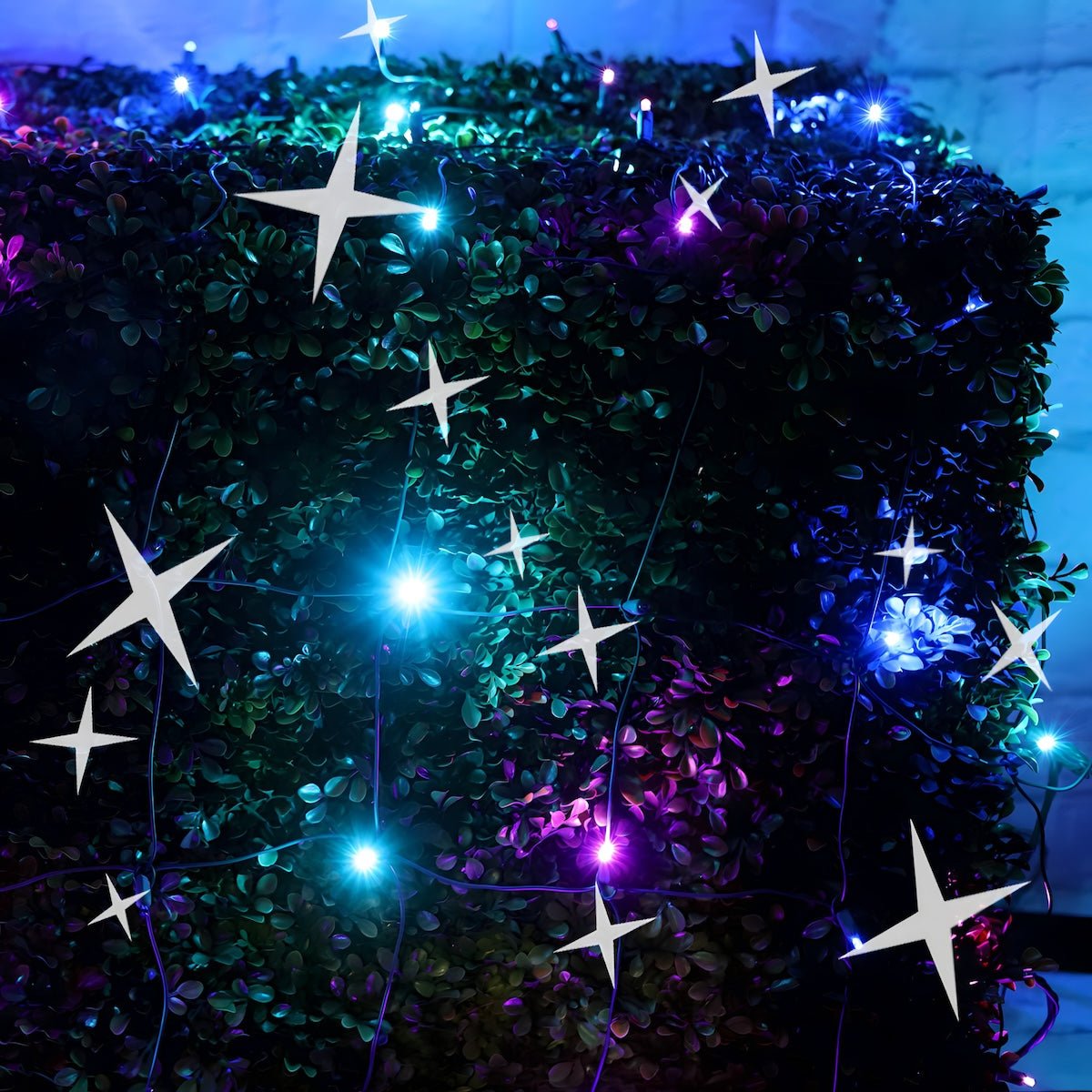 Shop For 4' x 6' Stardust 5mm LED Smooth Fade DreamSpark Net Lights