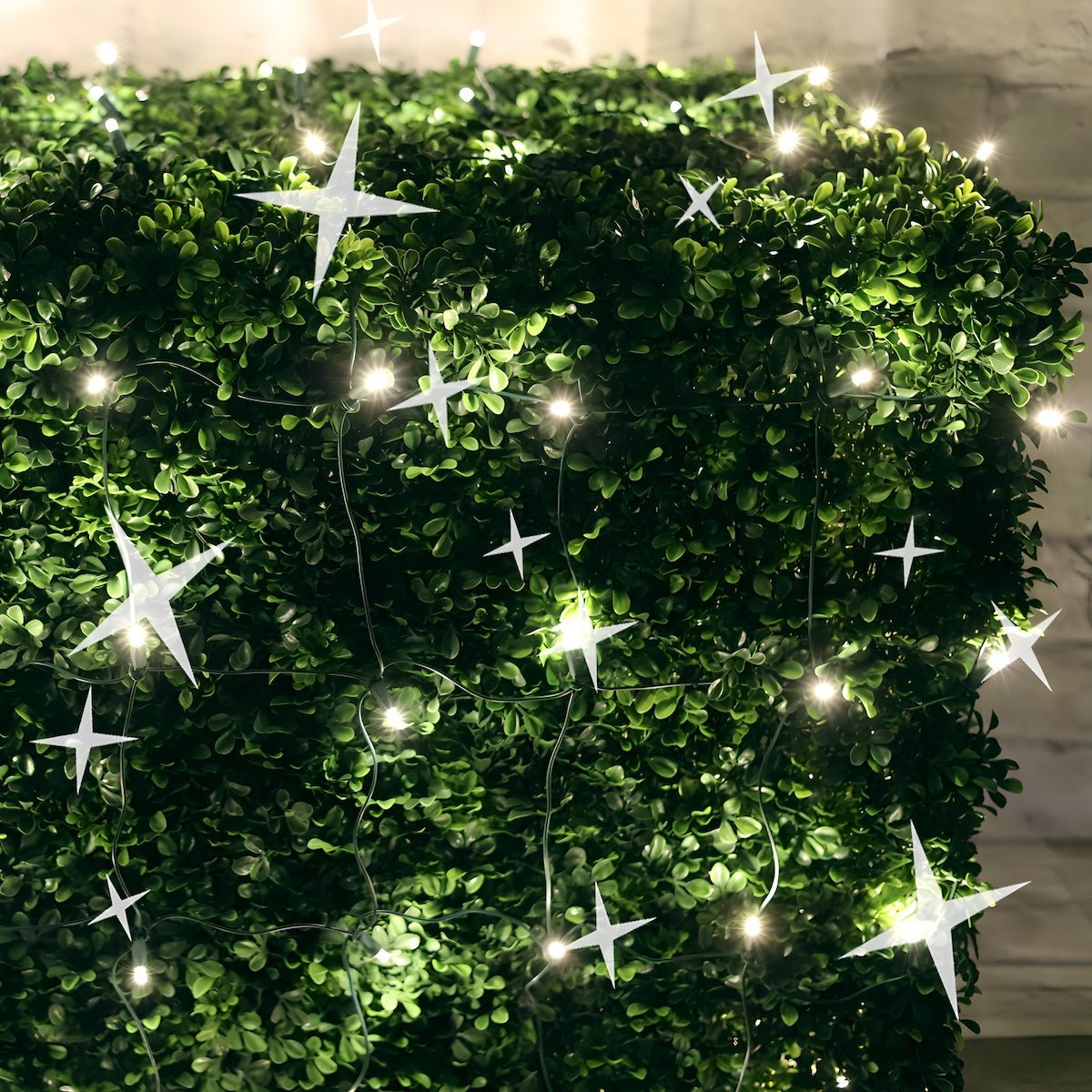 Shop For 4' x 6' Warm White 5mm LED Smooth Fade DreamSpark Net Lights