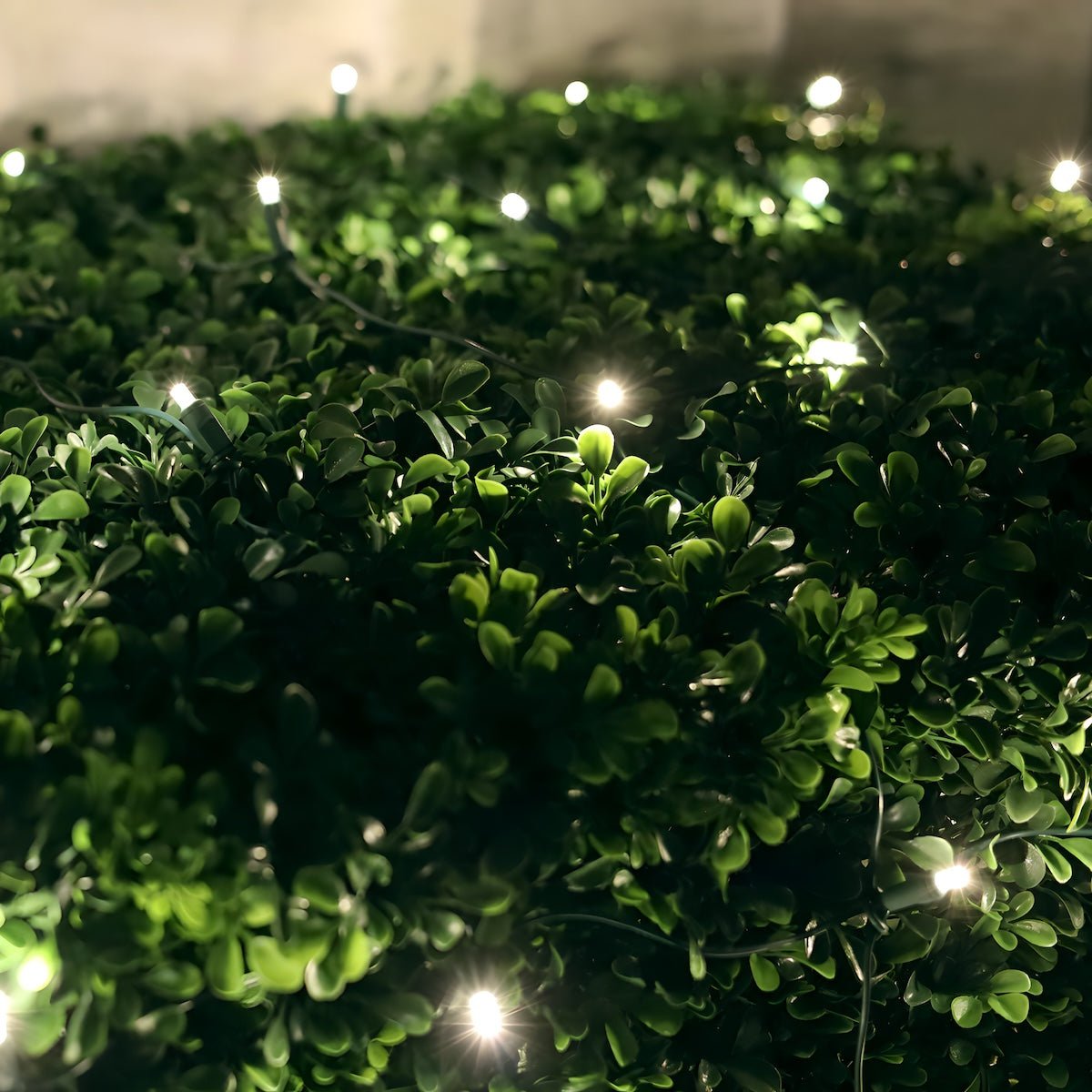Shop For 4' x 6' Warm White 5mm LED Smooth Fade DreamSpark Net Lights