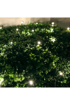 Shop For 4' x 6' Warm White 5mm LED Smooth Fade DreamSpark Net Lights