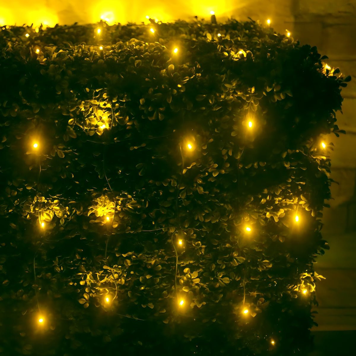 Shop For 4' x 6' Yellow 5mm LED Christmas Net Lights