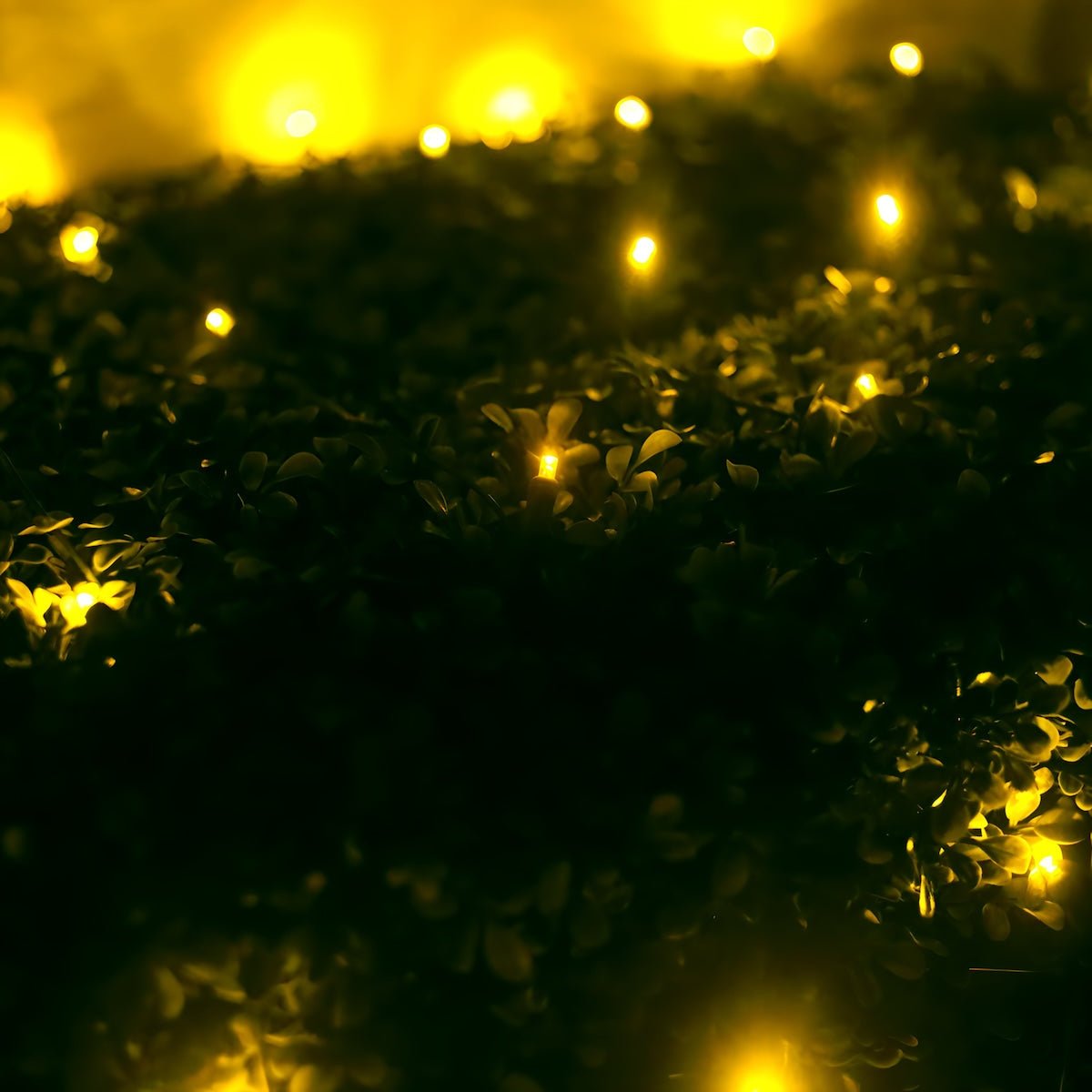 Shop For 4' x 6' Yellow 5mm LED Smooth Fade DreamSpark Net Lights