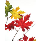 Shop For 40in Maple Leaves Branch