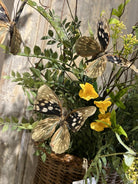 48" Natural Butterfly Branch