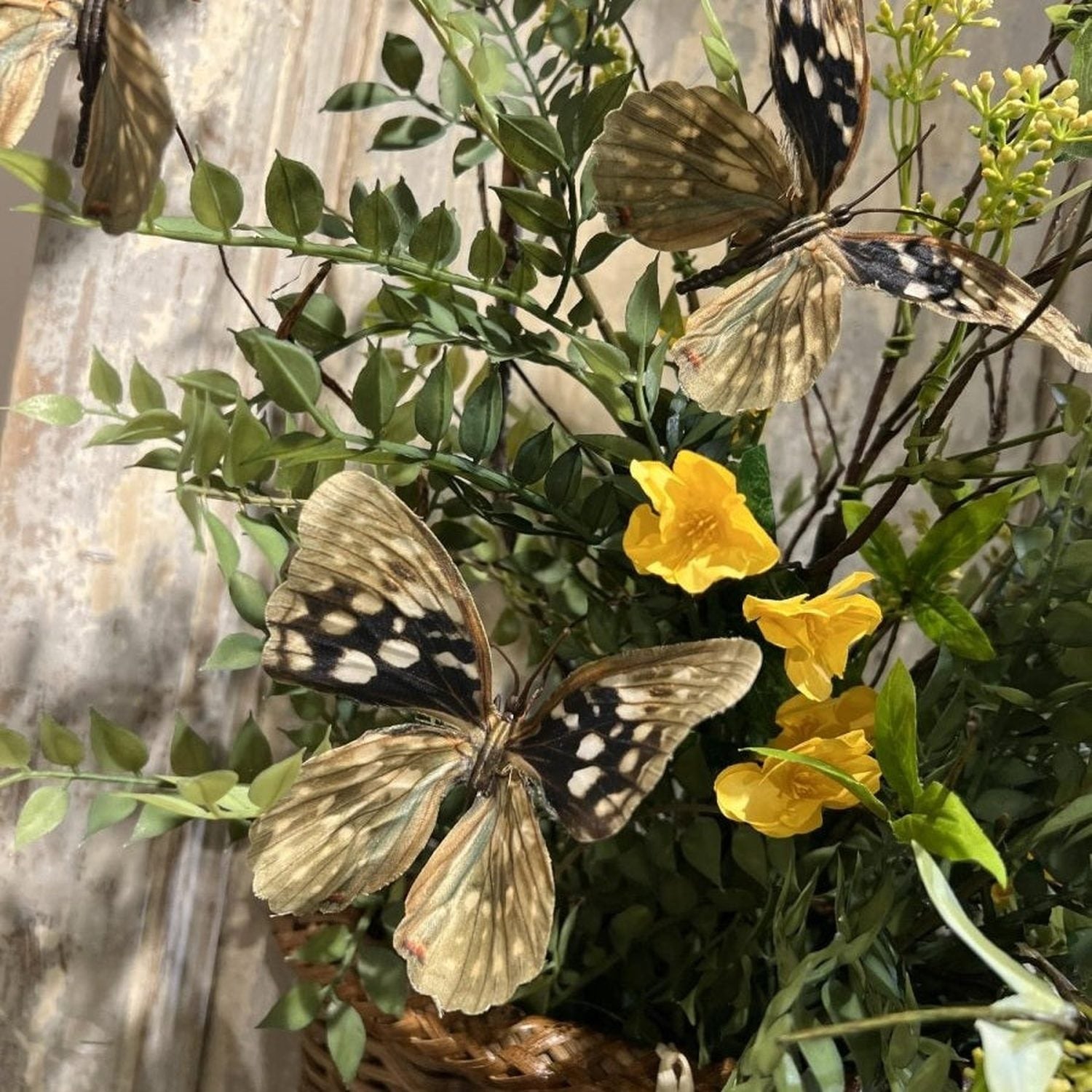 48" Natural Butterfly Branch