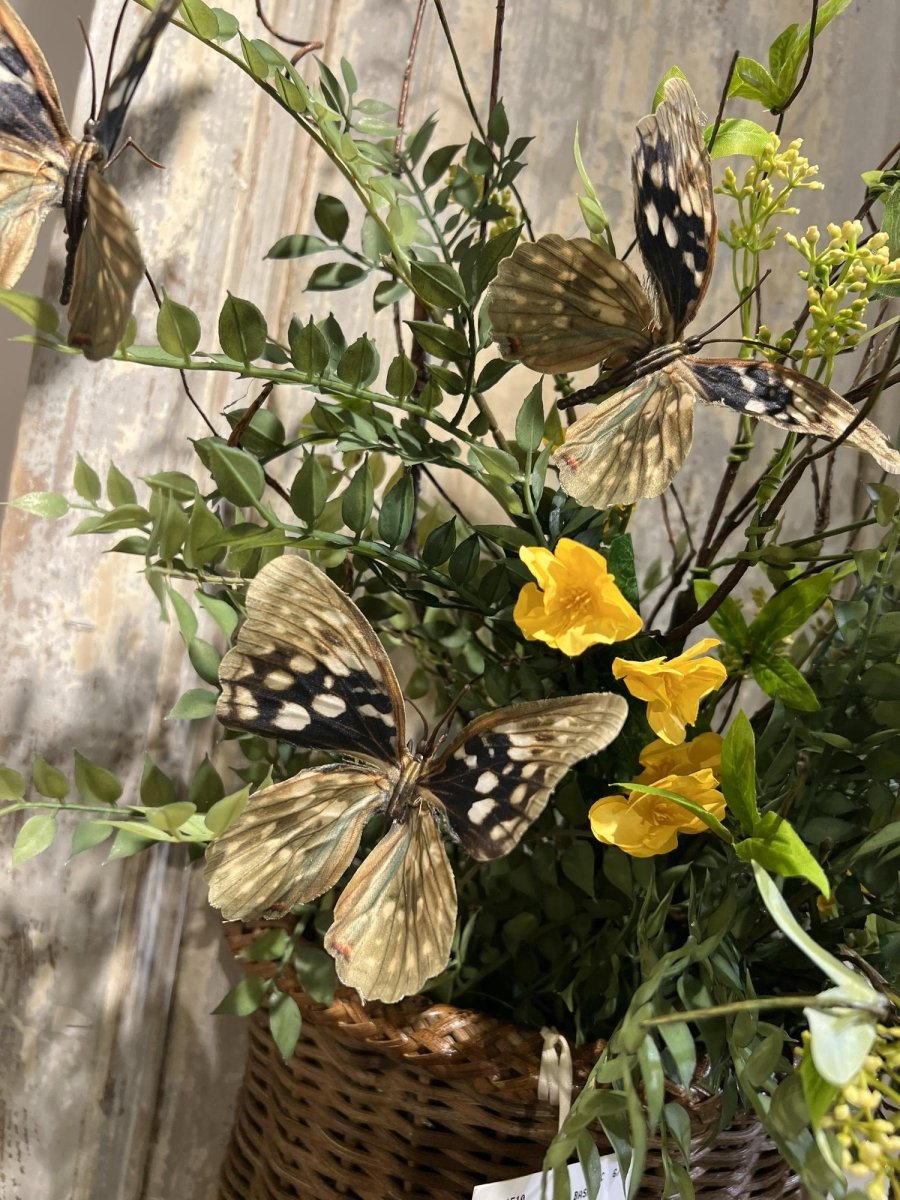 48" Natural Butterfly Branch