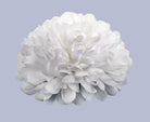 Shop For 4in Homecoming Mum Flower: White