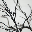 Shop For 5’ LED Halloween Deluxe Black Twig Artificial Tree