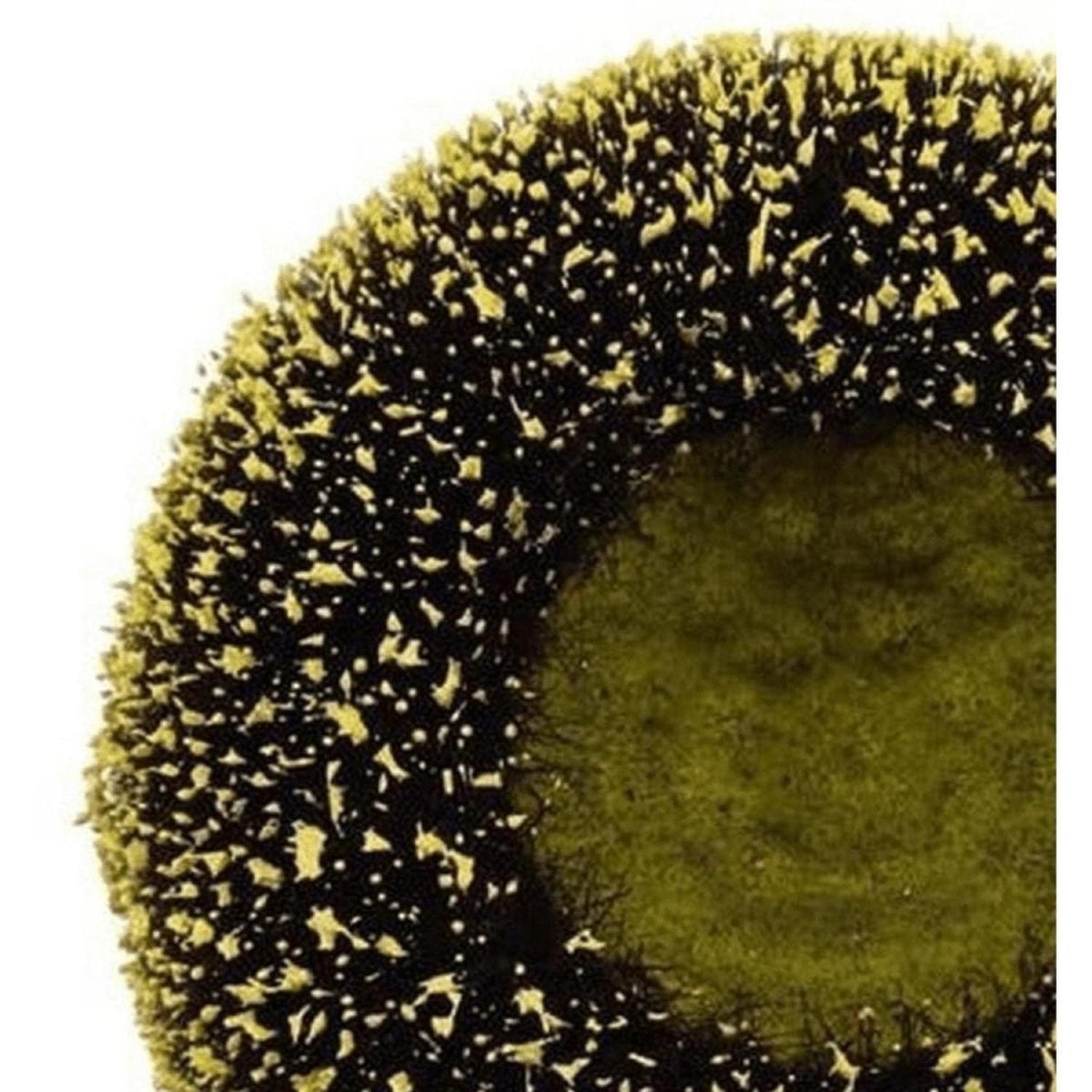 Shop For 5" Sunflower Flower Center: Yellow/Black