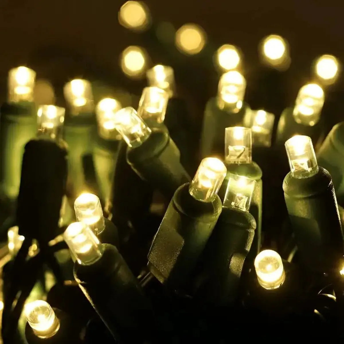 Shop For 50 5mm Warm White LED Christmas Lights, 4" Spacing