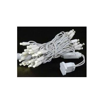 Shop For 50 Bulb LED 5MM Christmas Lights
