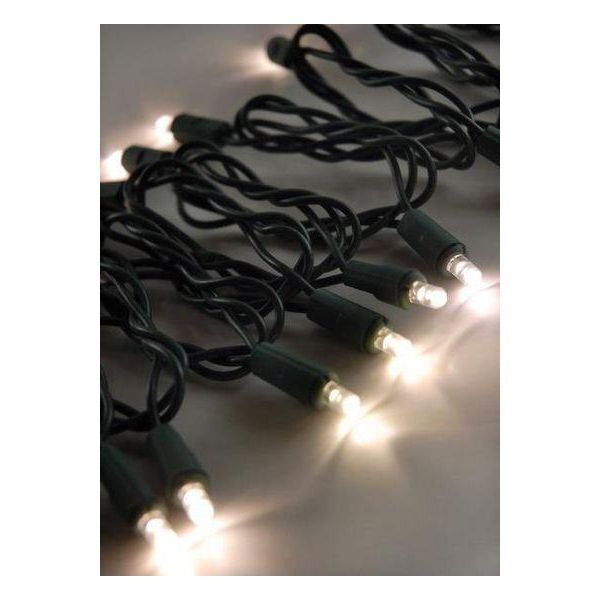 Shop For 50 Bulb LED 5MM Christmas Lights