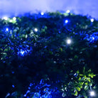 Shop For 5mm 4' x 6' Blue, Cool White LED Net Lights