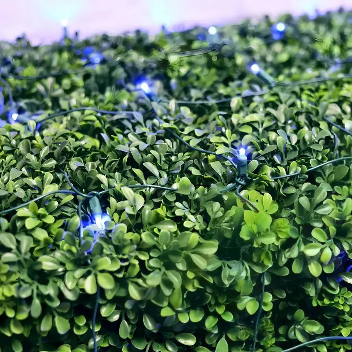 Shop For 5mm 4' x 6' Blue LED Net Lights