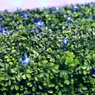 Shop For 5mm 4' x 6' Blue LED Net Lights