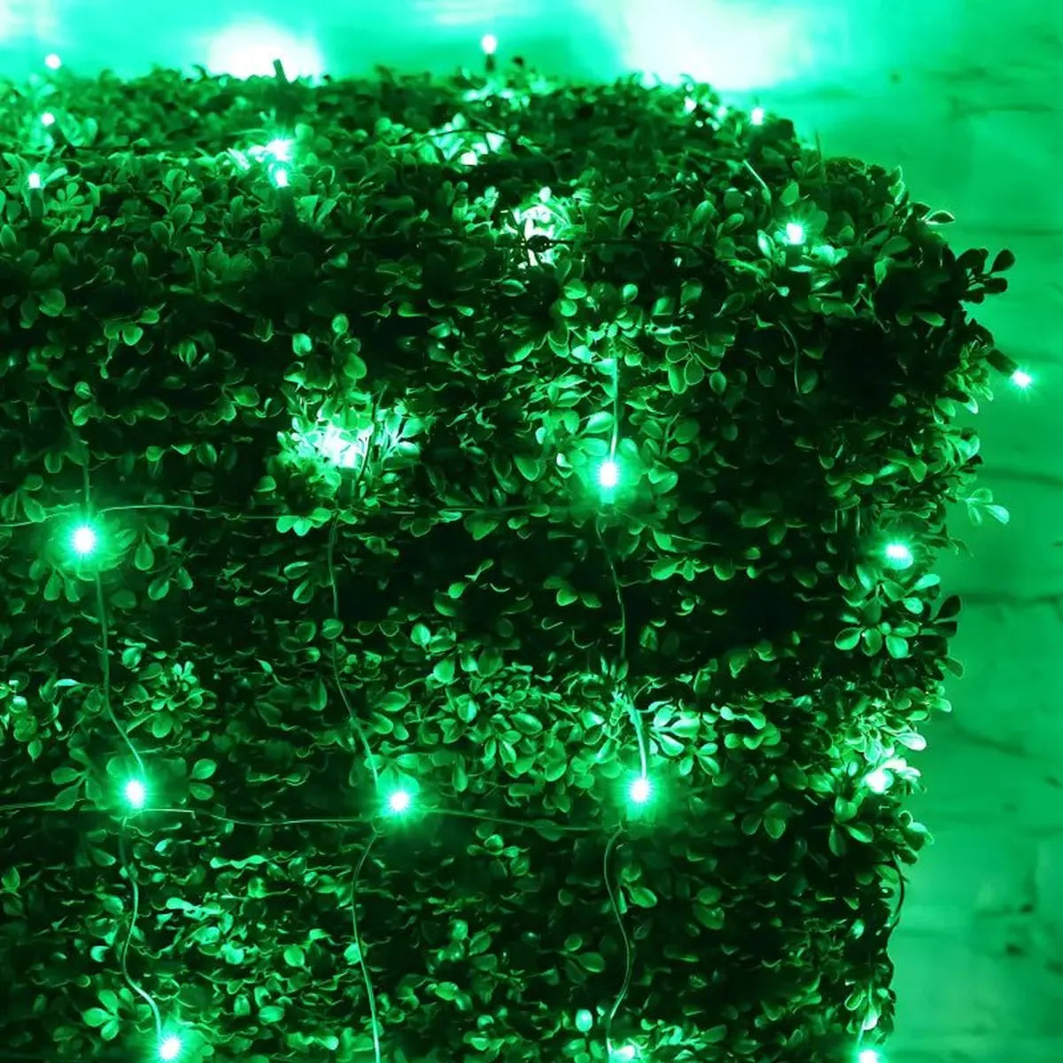 Shop For 5mm 4' x 6' Green LED Net Lights