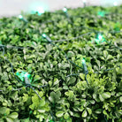 Shop For 5mm 4' x 6' Green LED Net Lights