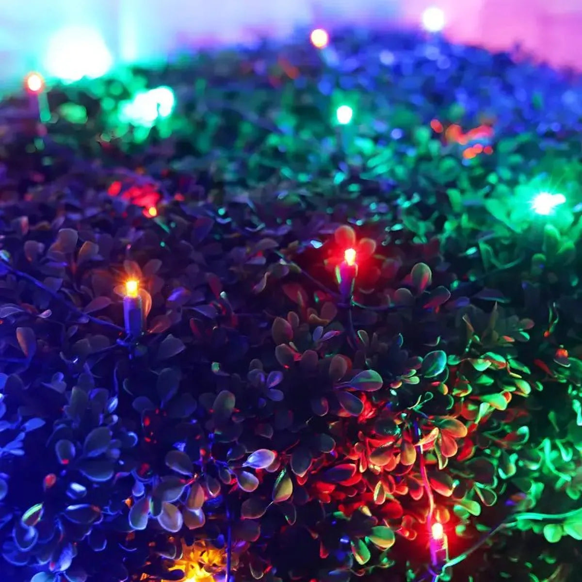 Shop For 5mm 4' x 6' Multicolor DreamSpark Smooth Fade LED Net Lights