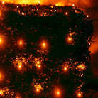 Shop For 5mm 4' x 6' Orange LED Net Lights