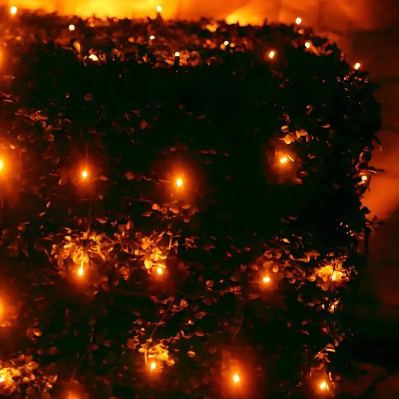 Shop For 5mm 4' x 6' Orange LED Net Lights