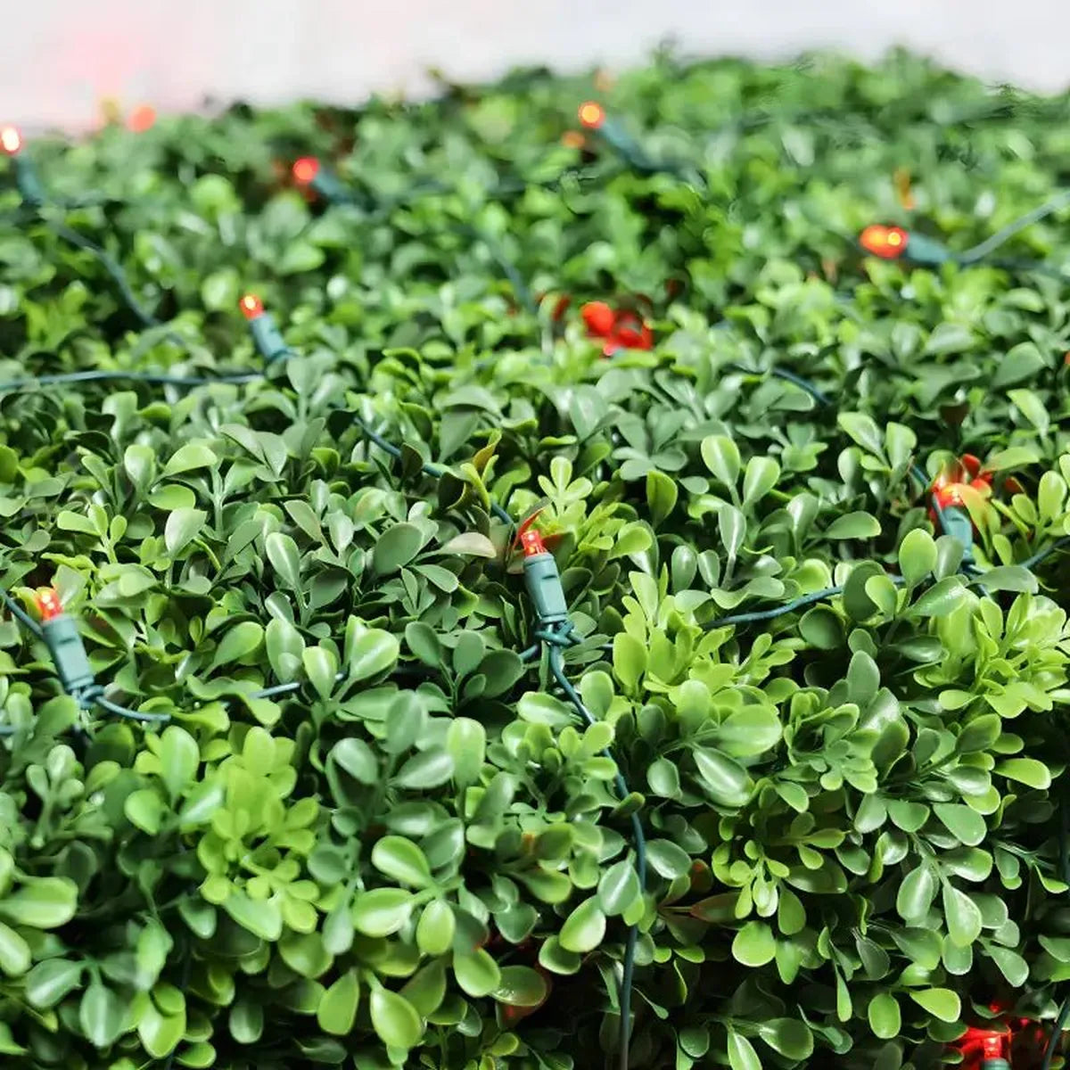 Shop For 5mm 4' x 6' Red LED Net Lights