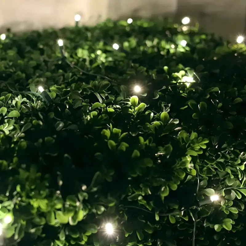 Shop For 5mm 4' x 6' Warm White DreamSpark Smooth Fade LED Net Lights