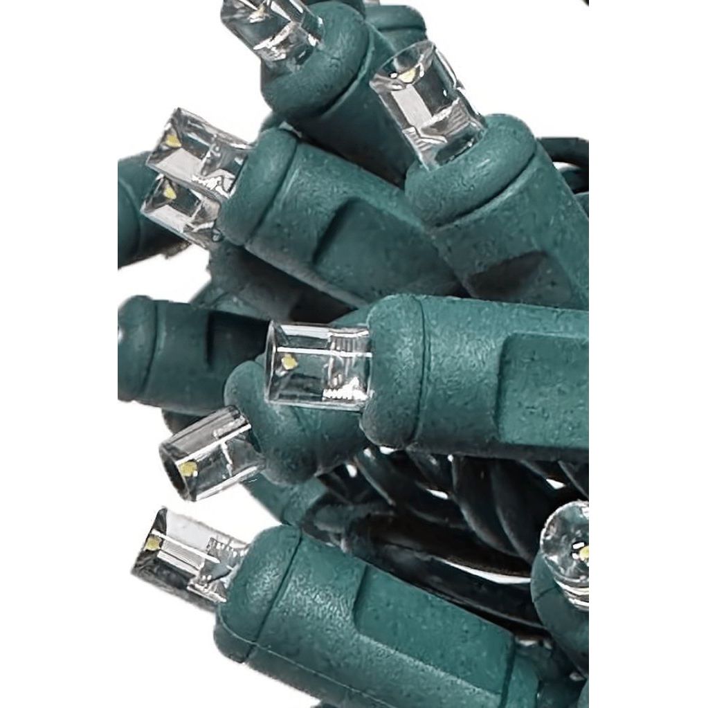 Shop For 5mm Multicolor Champagne LED Christmas Lights, 50 Bulbs at Michelle's aDOORable Creations