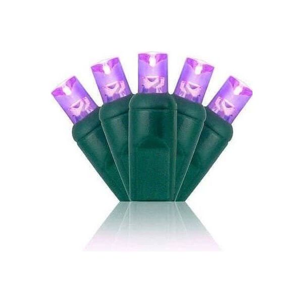 Shop For 5mm Purple LED Christmas Lights, 35 Bulbs at Michelle's aDOORable Creations