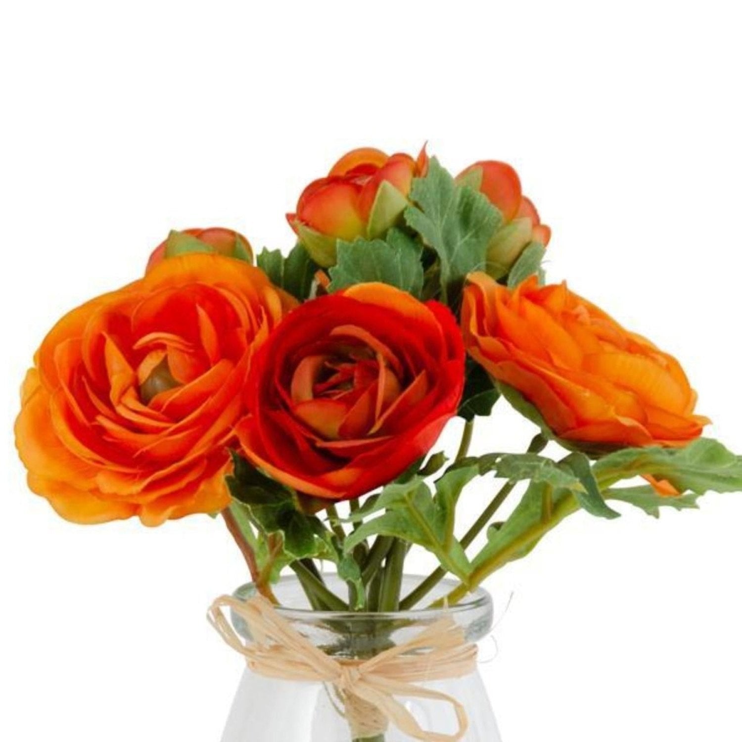 Shop For 6.75 Inch Orange Ranunculus in Vase