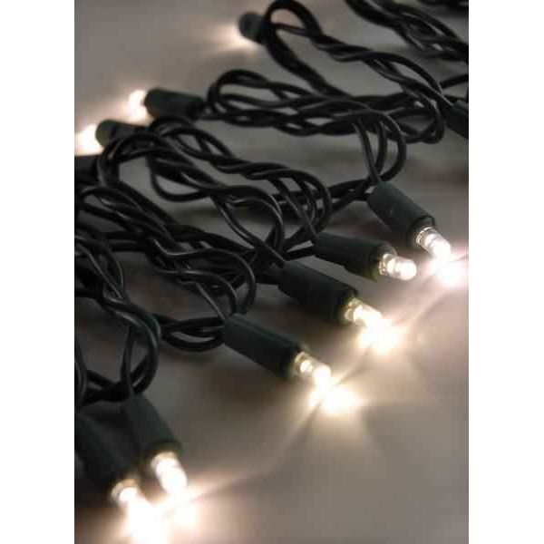 Shop For 70 Bulb Cool White LED 5MM Christmas Lights