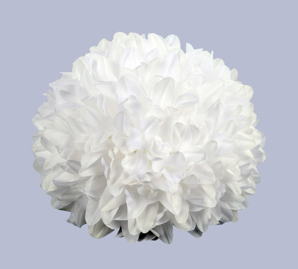 Shop For 7.5in Homecoming Mum Flower: White