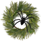 Shop For 8" Black Flocked Spider