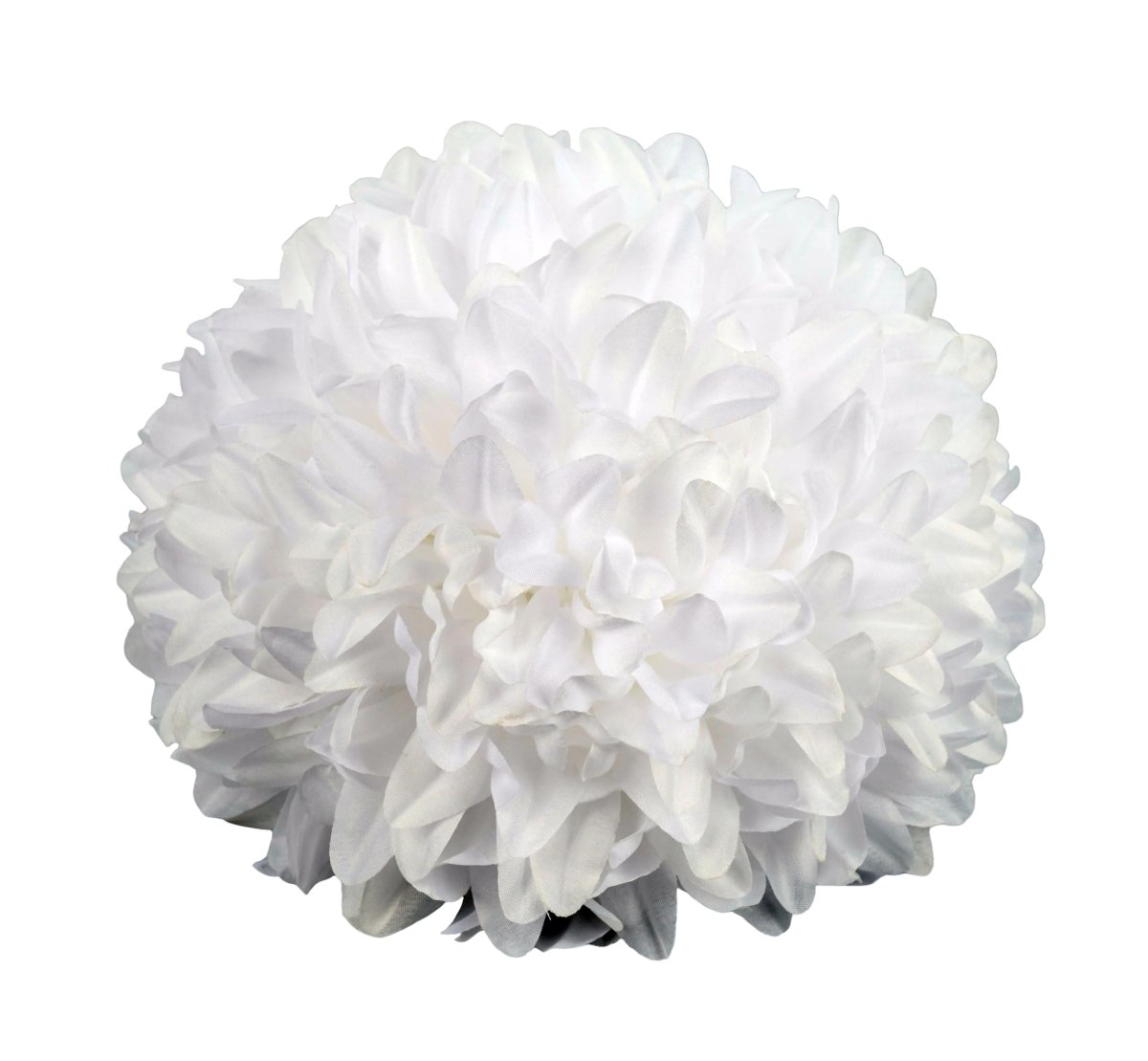 Shop For 9.5in Homecoming Mum Flower: White