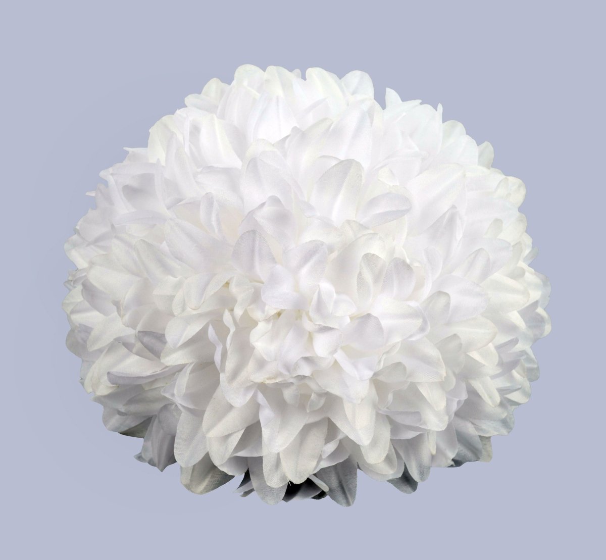 Shop For 9.5in Homecoming Mum Flower: White