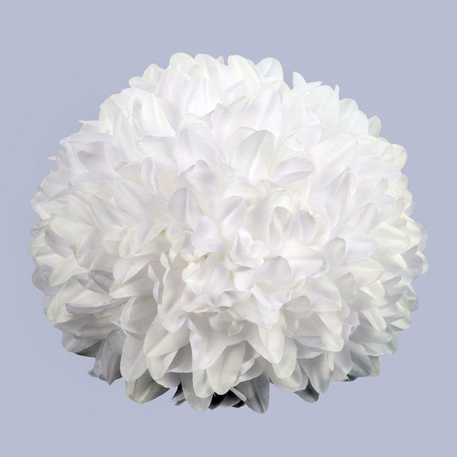 Shop For 9.5in Homecoming Mum Flower: White