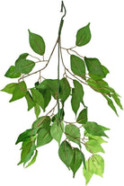 Shop For Artificial Ficus Spray Branches (Set of 12) at Michelle's aDOORable Creations