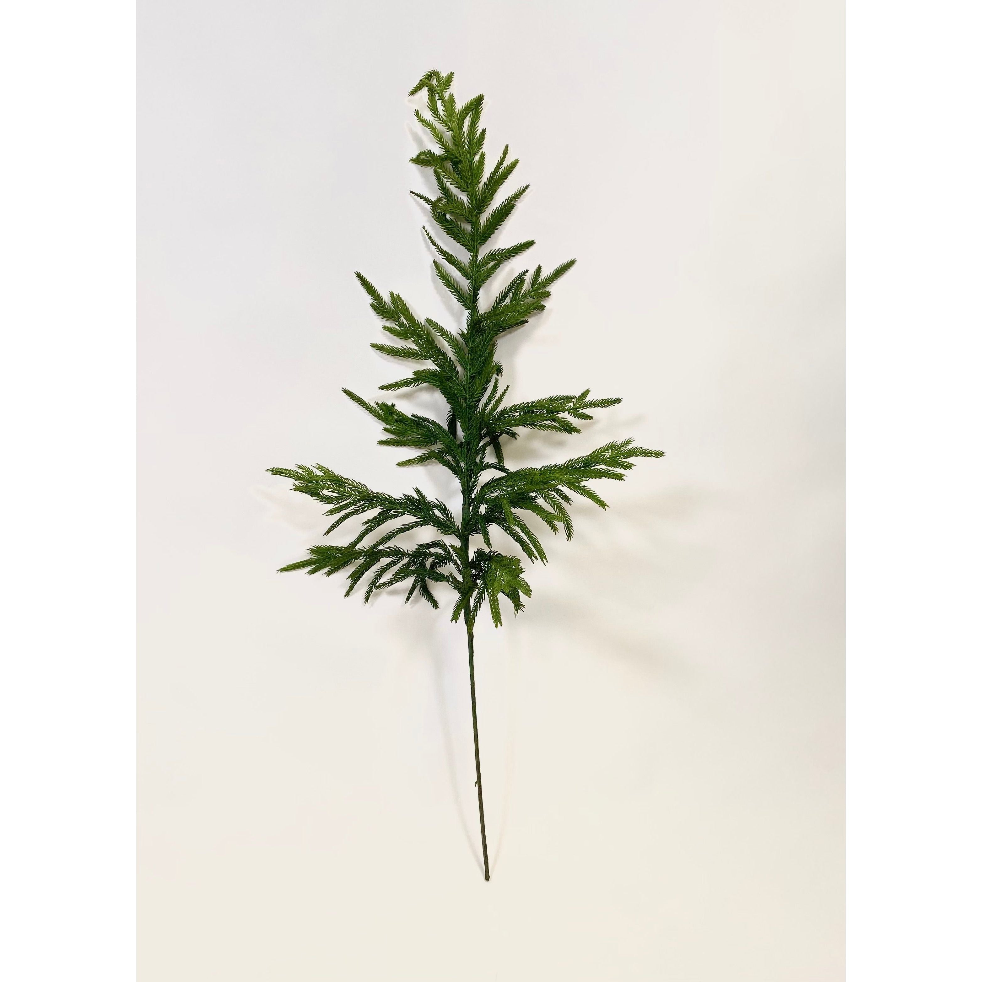 Shop For Artificial Real Touch 36” Norfolk Pine Stems