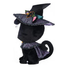 Shop For Black Cat Candy Container