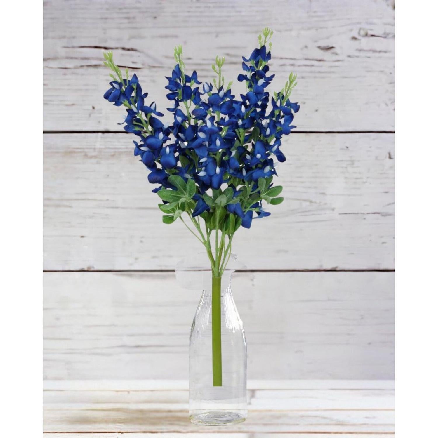 Blue Bonnet Bush
