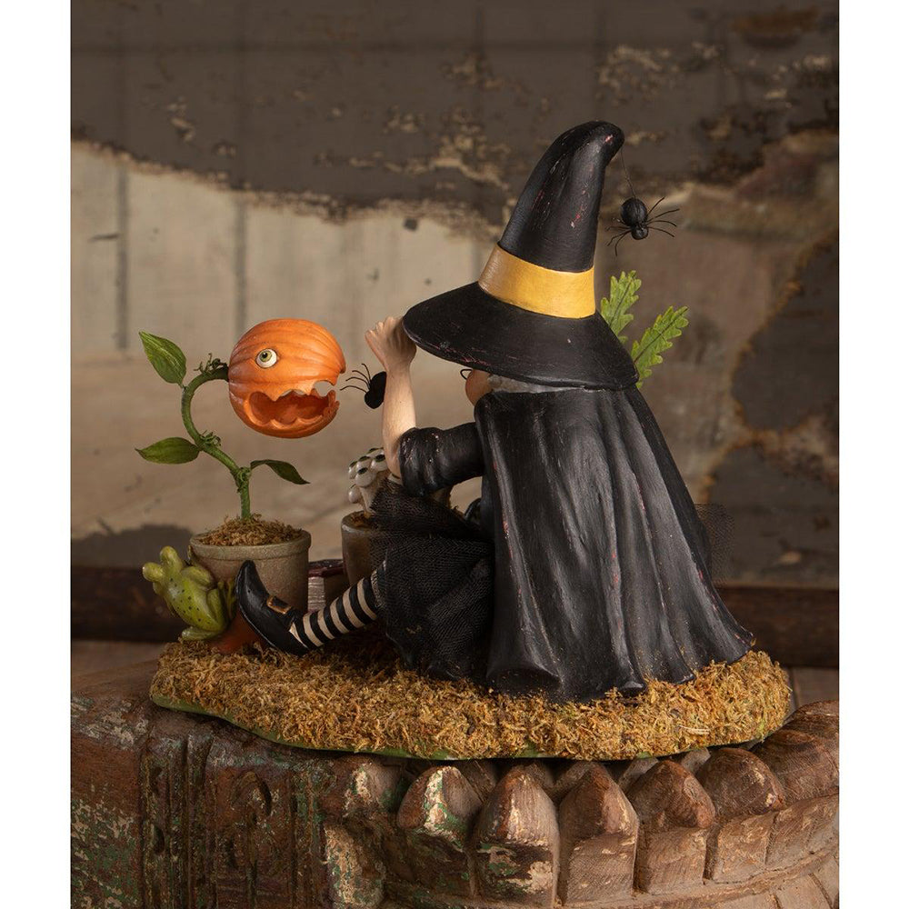 Shop For Botany Witch Figurine