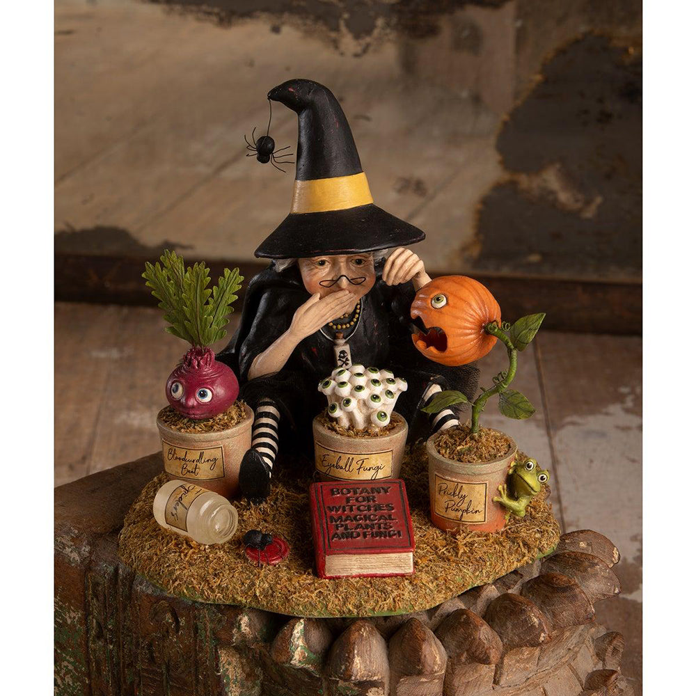 Shop For Botany Witch Figurine