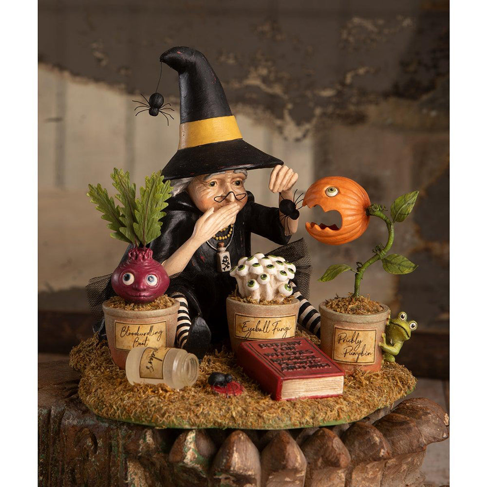 Shop For Botany Witch Figurine