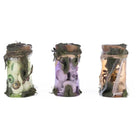 Shop For Broomstick Acres Potion Jars Assortment of 3